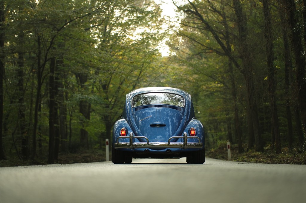 Car driving down a road surrounded by trees.