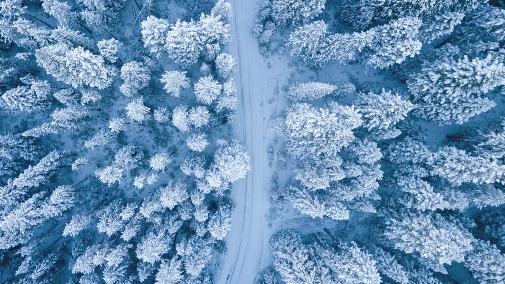 A road covered in snow.